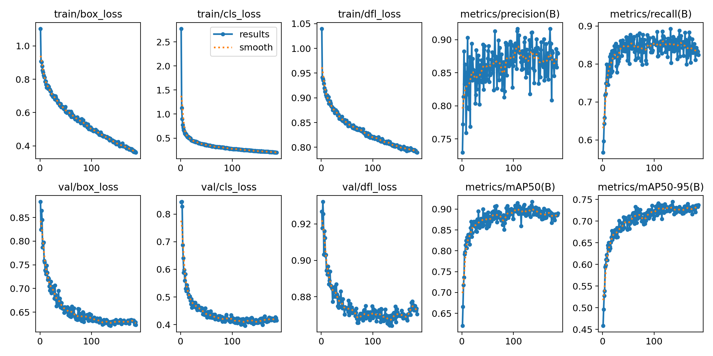 YOLO11l training results showing loss curves and mAP metrics